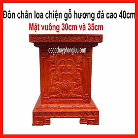 Mua Đôn chân loa hoa lá tây gỗ hương cao 40cm