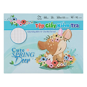 Tệp Giấy Kiểm Tra 20 Tờ - ĐL 100 (Hộp Ngang) - Mẫu Ngẫu Nhiên