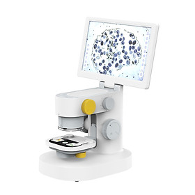 Rechargeable Intelligent Microscope 1200X Optical Magnification Cordless Microscopic Magnifier Electronic Magnifying Tool 9-inch Foldable Touch Screen Digital Display Microscope Photo/Video Taking with 10 Specimens Works with Windows MacOS PC