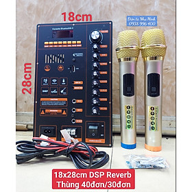 Mua Mạch Loa Kéo 4 Tấc Đơn + Mic - Kích Thước 18cmx28cm