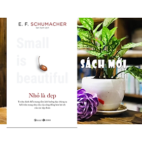 Cuốn Sách Kêu Gọi Chấm Dứt Chủ Nghĩa Tiêu Dùng Qúa Độ: Nhỏ Là Đẹp _ E. F. Schumacher