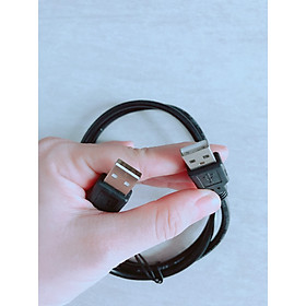 Mua DÂY NGUỒN 2 ĐẦU USB ĐỰC DÀI 1M