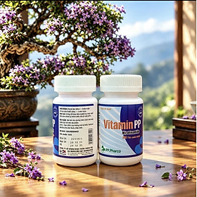 Vitamin PP, hộp 100 viên, VN1
