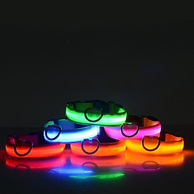 Vòng cổ đèn LED cho chó mèo