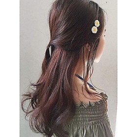 Kẹp tóc bông cúc - loại 2 bông / 2 cái
