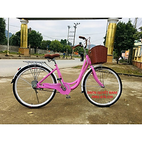 Xe đạp mini bánh 26 Vicky 
VM26