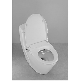 Mua Nắp bồn cầu tự rửa thông minh xịt rửa  vệ sinh phụ nữ INAX CW-S32 (Hàng chính hãng)
