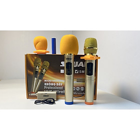 Mua Bộ 2 micro Karaoke không dây SHUAE SM-6.6 hỗ trợ thiết bị có jack cắm 6.5mm ( Hàng Chính Hãng )