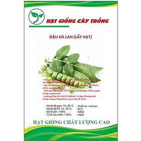 Hạt giống đậu hà lan ( Lấy hạt ) CT152 - Gói 20gram