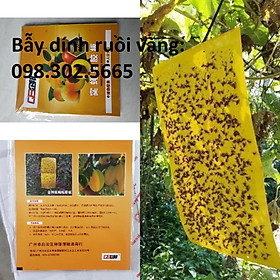 Mua 10 Miếng Dính Bẫy Côn Trùng   Bẫy Ruồi Vàng 22x40cm