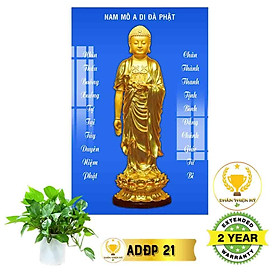 Mua Tranh Phật A Di Đà có khung_ADDK7