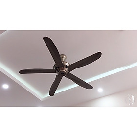 Mua Quạt trần QTK40
