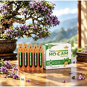 Siro ho cảm Kingphar 10 ống * 10ml