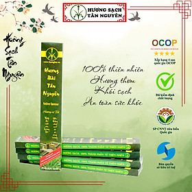Mua Combo 5 Hộp Hương Bài cao cấp Tân Nguyên - Nhang Sạch thơm vị Tết Xưa - BH60C - BH60CN