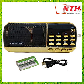 Loa Pháp, Loa Nghe Đài FM, Loa Nghe Nhạc USB, Thẻ Nhớ Craven CR-836S Có Đèn Pin - Hàng Nhập Khẩu