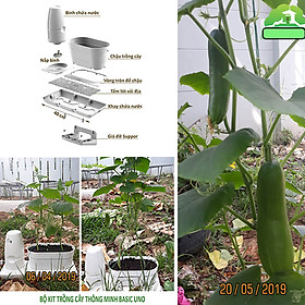 1 BỘ CHẬU TỰ DƯỠNG TRỒNG RAU BÍ XANH BASIC UNO NHẬP KHẨU BỒ ĐÀO NHA DÀNH CHO NGƯỜI BẬN RỘN NHƯNG YÊU THÍCH TRỒNG RAU TẠI NHÀ