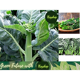 Mua Hạt giống Cải Rổ Chịu Nhiệt  cải làn  5gr  năng suất cao