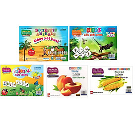 Bộ 5 túi thẻ flashcard giáo dục thông minh( trái cây-rau củ- động vật nuôi - các loài chim - côn trùng )