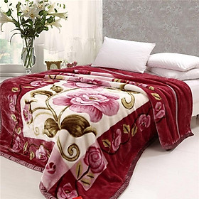 Mua CHĂN LÔNG NHẬP KHẨU 4D CỰC DÀY MỊN PHA TUYẾT 6 KG-TẶNG TÚI ĐỰNG
