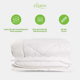 Mua Ruột chăn truyền thống Everon standard (loại dày siêu ấm)