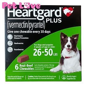Heartgard tẩy giun tim, giun móc, giun đũa (chó 11,5 - 22,5kg; 1 hộp x 6 viên)