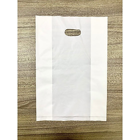 1kg túi hột xoài phân hủy sinh học size M, không nhựa 100%, đựng quần áo, thực phẩm,..