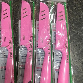 Mua Dao gọt hoa quả có nắp rất tiện lợi khi đi du lịch