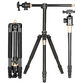 Mua Chân kết hợp Beike QZSD-996H cao 184cm  Hàng nhập khẩu
