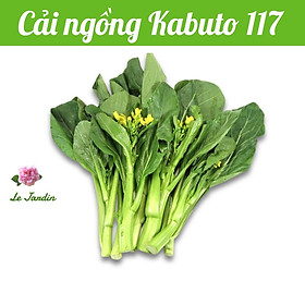Hạt giống cải ngồng Kabuto 117 gói 10gr - THÂN TO NHIỀU BÔNG