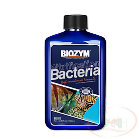 Vi sinh nước Biozym Nitrifying Bacteria đậm đặc xử lý nước bể thủy sinh cá tép cảnh