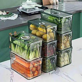 Mua Hộp Bảo Quản Thực Phẩm Tủ Lạnh 3.5L Trong Suốt Có Khay Lót Đáy Và Tay Cầm