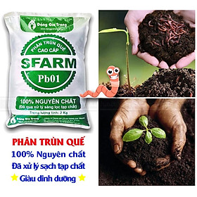 Mua Phân trùn quế - phân bón hữu cơ cao cấp trồng cây  trồng rau  cây cảnh nội thất  cây hoa kiểng  phong lan