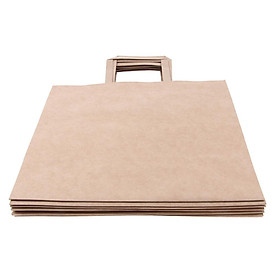 10 PCS Brown Kraft Paper Bags, Food Carrier Party Takeaway Bag with Handles, Durable