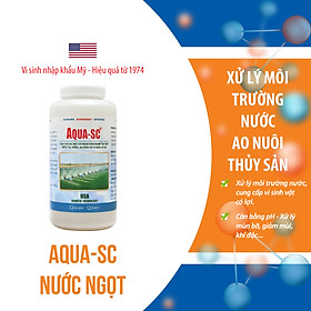 AQUA SC - Vi sinh xử lý nước hồ cá cảnh, cá koi, cá chép, nước ao nuôi trồng thủy sản - Chai 1 quarter (≈ 1 lít)