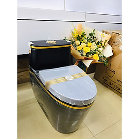 Mua Bệt xí bồn cầu màu đen nano lì kháng khuẩn chống bám bẩn CHINOX viền vàng