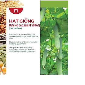 Hạt Giống Dưa Leo Cao Sản F1 589AQ ( 3 gói)