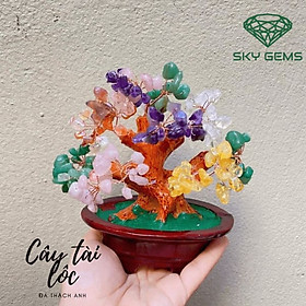 Mua Cây Tài Lộc Thạch Anh 15cm trang trí phòng khách  bàn làm việc  phòng ngủ