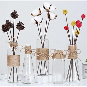 Mua Lọ hoa thủy tinh trong Bình hoa decor trang trí cuốn dây thừng gai đẹp