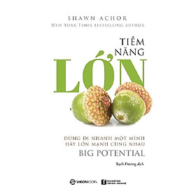 Tiềm năng lớn - Đừng đi nhanh một mình, hãy lớn mạnh cùng nhau (Big Potential) - Tác giả: Shawn Achor