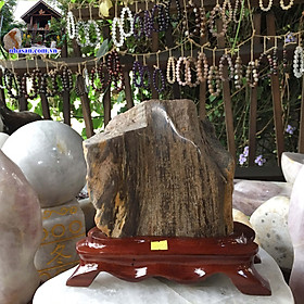 Trụ Gỗ Hóa Thạch Phong Thủy May Mắn GHT51 nặng 5.4kg kích thước 23x20cm (Nâu)   