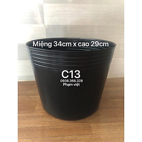 Mua chậu nhựa 20 chậu C13