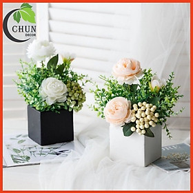 Mua Chậu Hoa Để Bàn  Bình Hoa Để Bàn Trang Trí Nhà Cửa  Cửa Hàng  Văn Phòng  Lớp Học