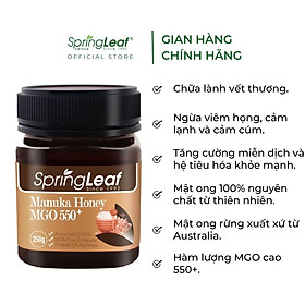 Mật ong Manuka tăng đề kháng, giúp chữa lành vết thương hàm lượng MGO 550+ Springleaf Úc 250gr