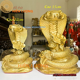 Mua Tượng Rắn Hổ Mang Quấn Hoa Hồng Bằng Đồng Thau Nguyên Chất Cao 22cm Và 35cm - Linh Vật Phong Thủy
