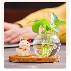 Mua Bộ decor Mèo thần tài may mắn kết hợp cùng bình thủy sinh trang trí nhà  bàn làm việc góc học tập giúp mang lại may mắn và thư giãn cho người sử dụng