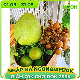 Chỉ Giao HCM - Combo Gia Đình