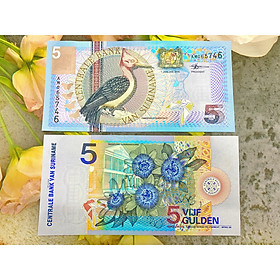 Mua Tiền Suriname 5 Gulden hình con chim tuyệt đẹp   quốc gia châu Mỹ   mới 100% UNC  tặng túi nilon bảo quản