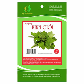 Combo 2 gói Hạt giống Kinh giới Golden Seeds 10 Gr