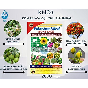 Mua KNO3 200g kiKch ra hoa đậu trái tập trung