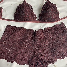 Bộ Nội Y Thiết Kế Ren Cao Cấp Tím Mận Có Mút Quần Đùi